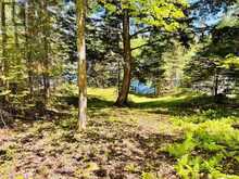 10573 LOON LAKE WAO | Haliburton Ontario | Slide Image Twenty-four