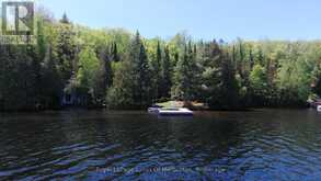 10573 LOON LAKE WAO | Haliburton Ontario | Slide Image Fourteen
