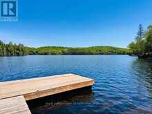 10573 LOON LAKE WAO | Haliburton Ontario | Slide Image Forty-one