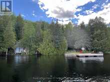 10573 LOON LAKE WAO | Haliburton Ontario | Slide Image Five