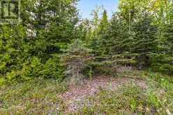 UNIT 39 TAMARAC ROAD | Northern Bruce Peninsula Ontario | Slide Image Twenty-two