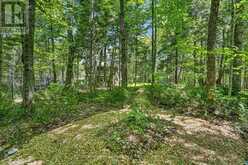 1077 HOLIDAY PARK DRIVE | Bracebridge Ontario | Slide Image Thirty-seven