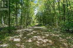 1077 HOLIDAY PARK DRIVE | Bracebridge Ontario | Slide Image Thirty-eight