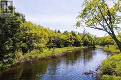 2 - 1204 SOUTH MORRISON LAKE ROAD | Gravenhurst Ontario | Slide Image Twelve