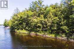 2 - 1204 SOUTH MORRISON LAKE ROAD | Gravenhurst Ontario | Slide Image Thirteen