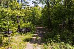 2 - 1204 SOUTH MORRISON LAKE ROAD | Gravenhurst Ontario | Slide Image Eighteen