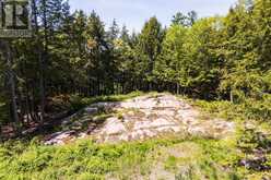 2 - 1204 SOUTH MORRISON LAKE ROAD | Gravenhurst Ontario | Slide Image Nineteen