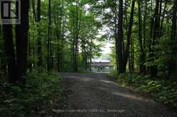 581 LIMBERLOST POINT ROAD | Parry Sound Ontario | Slide Image Eight