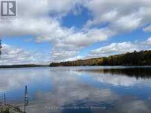 1433 SOUTH HORN LK ROAD | Magnetawan Ontario | Slide Image Thirty-four