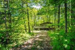 208 DESROCHES TRAIL | Tiny Ontario | Slide Image Two