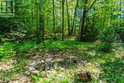 208 DESROCHES TRAIL | Tiny Ontario | Slide Image Twenty-two