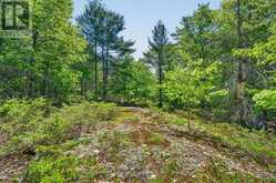 1018 SNIDERS BAY ROAD | Gravenhurst Ontario | Slide Image Thirty-seven