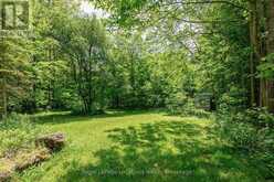 LOT 22 PARK STREET S | Flesherton Ontario | Slide Image Eight