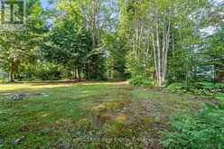 1025 MOE'S ROAD | Bracebridge Ontario | Slide Image Twenty-one