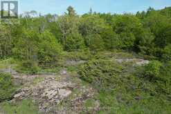 408 SOUTH BAY ROAD | Port Severn Ontario | Slide Image Nine
