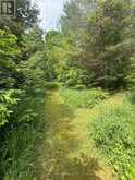 395551 2 CONCESSION | Chatsworth Ontario | Slide Image Nineteen