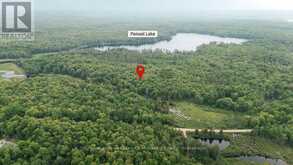 254 EXPRESSWAY ROAD | Emsdale Ontario | Slide Image Two