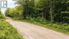 254 EXPRESSWAY ROAD | Emsdale Ontario | Slide Image Four