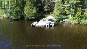 10729 BLACK LAKE WAO | Minden Hills Ontario | Slide Image Ten