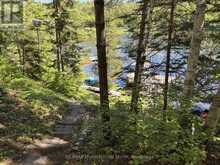 10729 BLACK LAKE WAO | Minden Hills Ontario | Slide Image Five