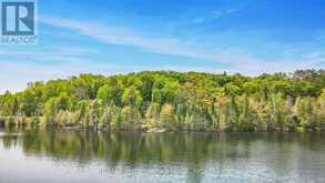 1214 KASHAGAWIGAMOG LAKE ROAD | Minden Hills Ontario | Slide Image Forty-three