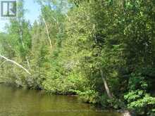 0 FIRE ROUTE 330 ROUTE | Highlands East Ontario | Slide Image Six