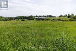 PART 1 PART SOUTH 1/2LOT2 GREY ROAD 12 | Meaford Ontario | Slide Image Fifteen