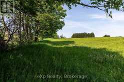 PART 2 PART SOUTH 1/2LOT2 GREY ROAD 12 | Meaford Ontario | Slide Image Fifteen