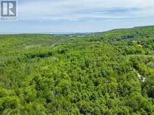 529685 OSPREY - THE BLUE MOUNTAINS TOWNLINE N | Thornbury Ontario | Slide Image Six