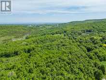 529685 OSPREY - THE BLUE MOUNTAINS TOWNLINE N | Thornbury Ontario | Slide Image Seven
