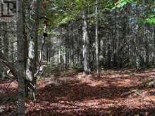 1118 STONEY ROAD | Magnetawan Ontario | Slide Image Eighteen