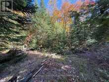 1118 STONEY ROAD | Magnetawan Ontario | Slide Image Twenty-eight
