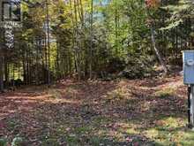 1118 STONEY ROAD | Magnetawan Ontario | Slide Image Seven