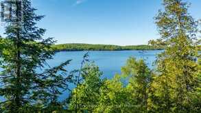 1075 WAMPUM ROAD | Haliburton Ontario | Slide Image Forty-five