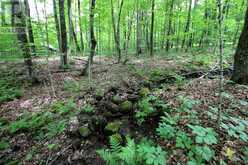 0 LIMBERLOST POINT ROAD | Parry Sound Ontario | Slide Image Ten