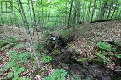 0 LIMBERLOST POINT ROAD | Parry Sound Ontario | Slide Image Eleven