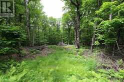 0 LIMBERLOST POINT ROAD | Parry Sound Ontario | Slide Image Six
