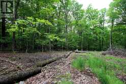 0 LIMBERLOST POINT ROAD | Parry Sound Ontario | Slide Image Seven