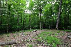 0 LIMBERLOST POINT ROAD | Parry Sound Ontario | Slide Image Eight