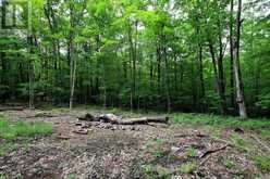 0 LIMBERLOST POINT ROAD | Parry Sound Ontario | Slide Image Nine