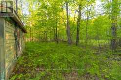1068 WOODS ROAD | Haliburton Ontario | Slide Image Ten