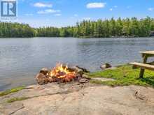 4 IS 40 GO HOME LAKE | MacTier Ontario | Slide Image Twenty-four