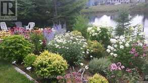 1 WHITE PINES TRAIL | Wasaga Beach Ontario | Slide Image Thirty-two