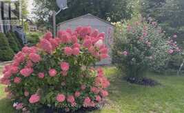 1 WHITE PINES TRAIL | Wasaga Beach Ontario | Slide Image Thirty-eight