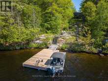 130 HEALEY LAKE WATER | Carling Ontario | Slide Image Fifteen