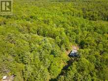 130 HEALEY LAKE WATER | Carling Ontario | Slide Image Forty