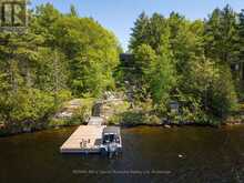130 HEALEY LAKE WATER | Carling Ontario | Slide Image Five