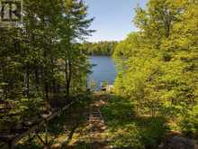 130 HEALEY LAKE WATER | Carling Ontario | Slide Image Seven