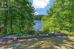 130 HEALEY LAKE WATER | Carling Ontario | Slide Image Eight