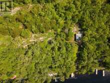 130 HEALEY LAKE WATER | Carling Ontario | Slide Image Nine